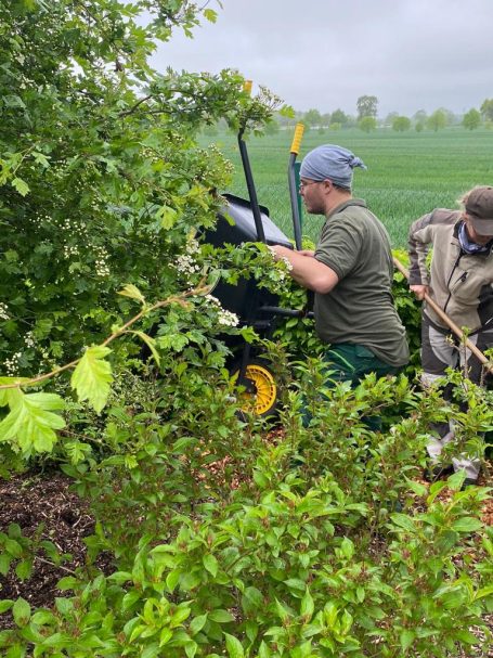 Mann arbeitet mit Gartengeräten in einem grünen Feld, umgeben von Sträuchern.