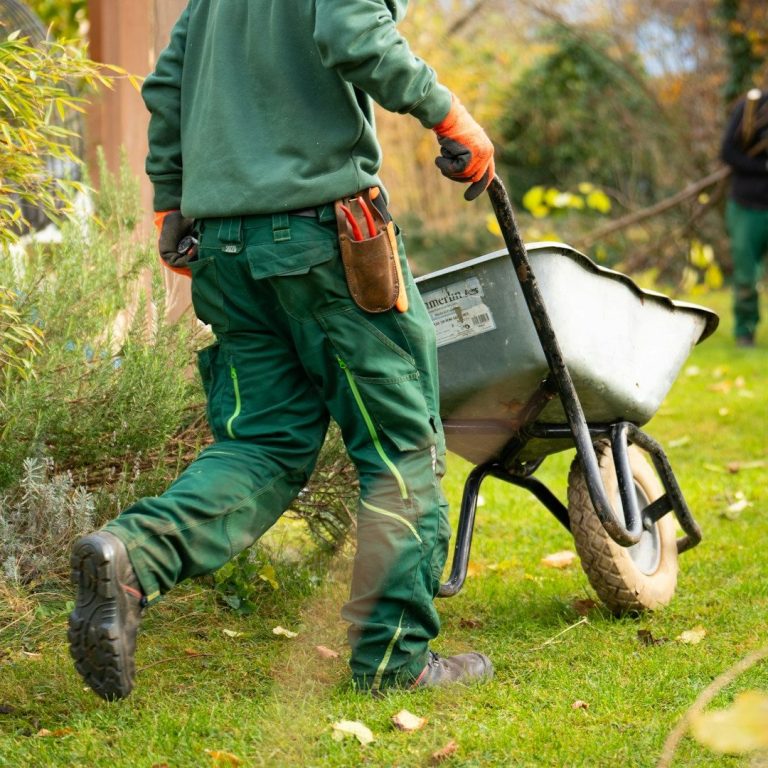 Gartenpflege und Grundstücksservice durch Natur und Garten GmbH aus Varel Dangast Gartenpflege vom Fachmann , zuverlässig und kompetent