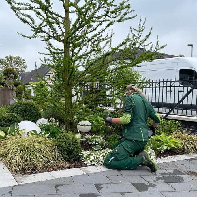 Fachliche zuverlässige Pflege von Gartenanlagen