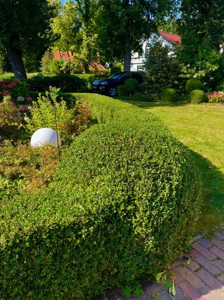 Grüner Garten mit einer runden Leuchte und gut geschnittenen Hecken.