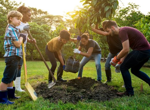 Gruppe von Menschen pflanzt einen Baum in einem Garten.