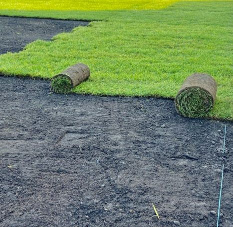 Rolls von Rasen liegen auf schwarzem Erdboden, frisches Grün im Hintergrund.